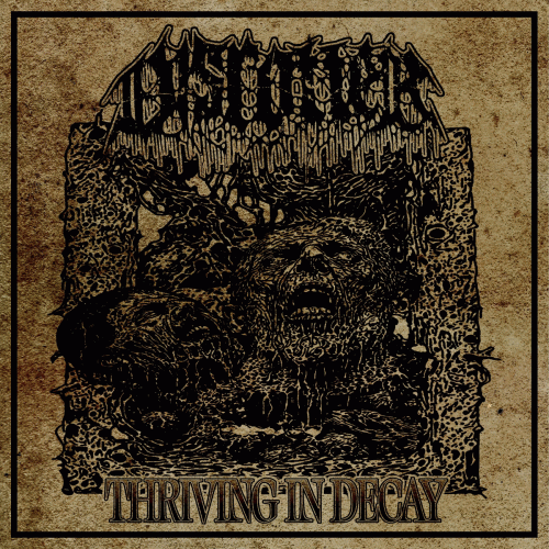 Disrotter : Thriving in Decay